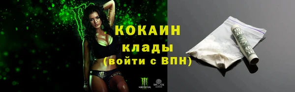 индика Балахна