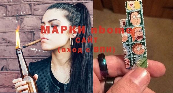 индика Балахна