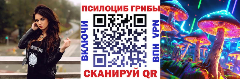 OMG рабочий сайт Белебей Галлюциногенные грибы Cubensis